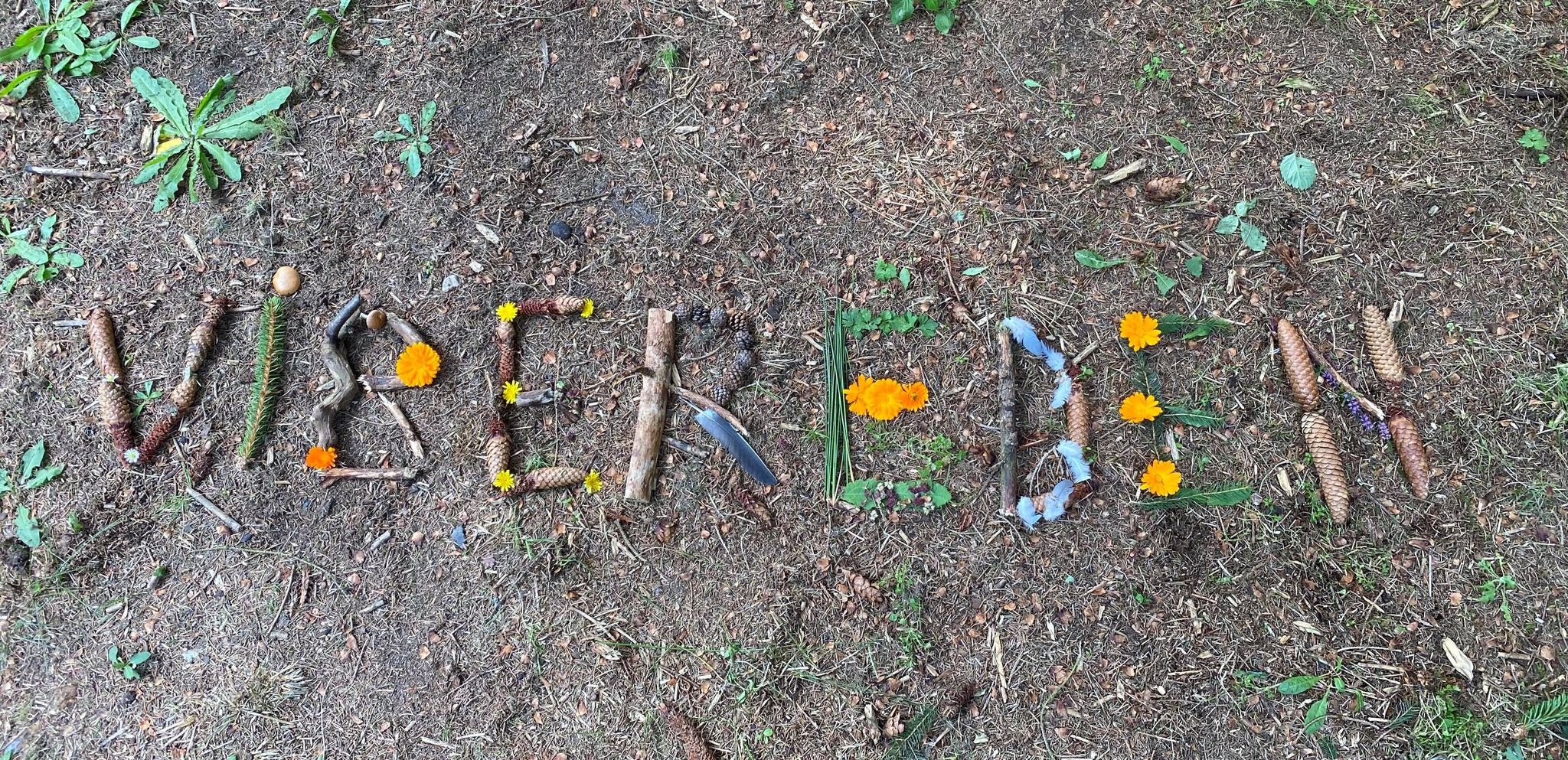 Forsidebillede landart